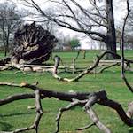 Image: Third image from the photoset 'yorkshire (viii)'.