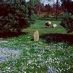 Image: Seventh image from the photoset 'yorkshire (viii)'.