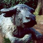 Image: Eighth image from the photoset 'yorkshire (viii)'.