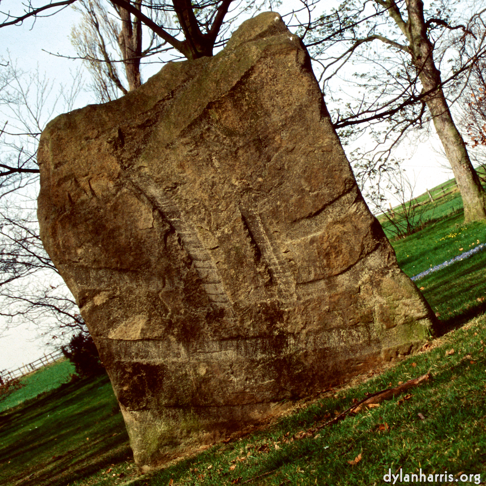 Image 'yorkshire (ix) 5'.