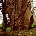 Second image from the photoset 'yorkshire (ix)'.