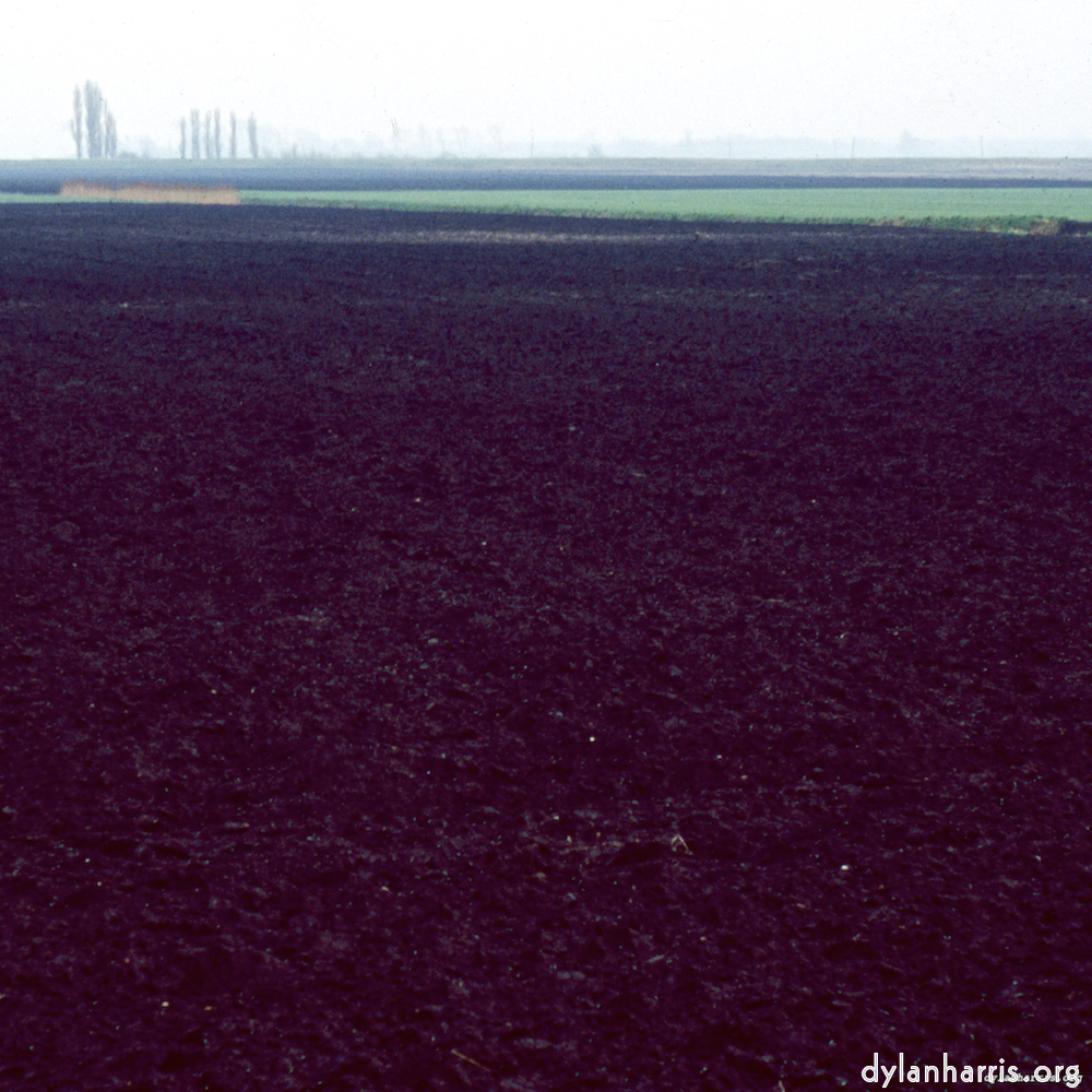 Image: Image 'fen (x) 1'.