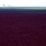 First image from the photoset 'fen (x) '.