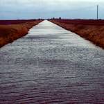 Second image from the photoset 'fen (x) '.