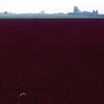 Third image from the photoset 'fen (x) '.