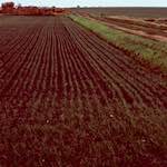 Seventh image from the photoset 'fen (x) '.