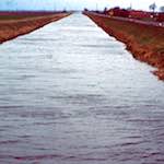 Eighth image from the photoset 'fen (x) '.