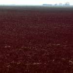 Ninth image from the photoset 'fen (x) '.