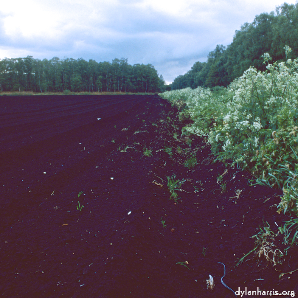 Image: Image 'fen (viii) 2'.