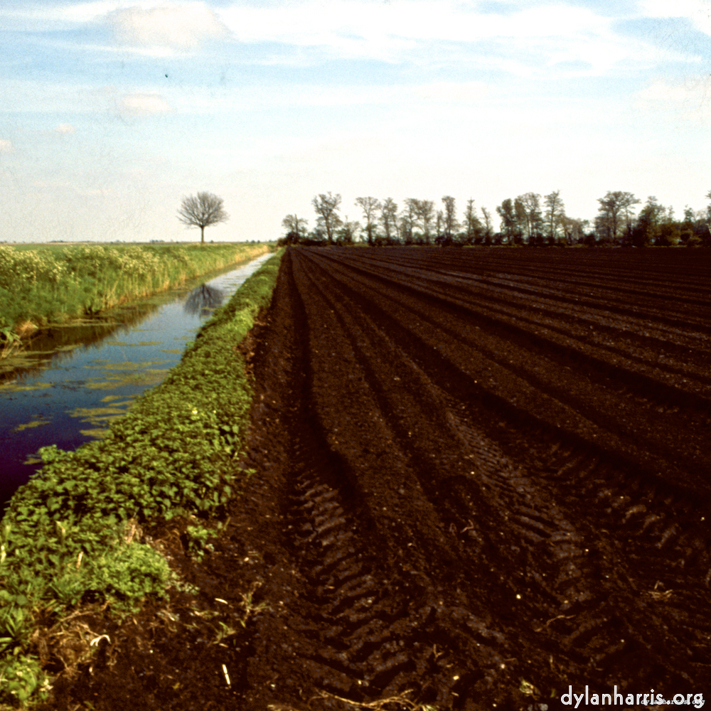 Image: Image 'fen (viii) 3'.