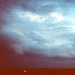 First image from the photoset 'the fox'.