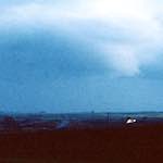 Third image from the photoset 'the fox'.