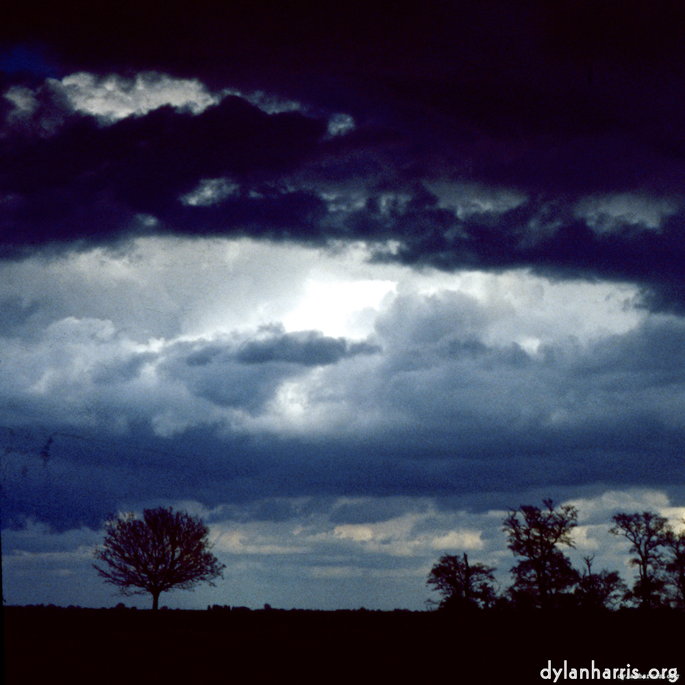 Image: Image 'fen (ix) 1'.