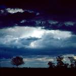 Image: First image from the photoset 'fen (ix)'.