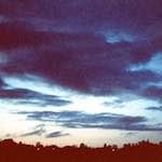 Image: Second image from the photoset 'fen (ix)'.