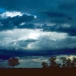 Image: Third image from the photoset 'fen (ix)'.