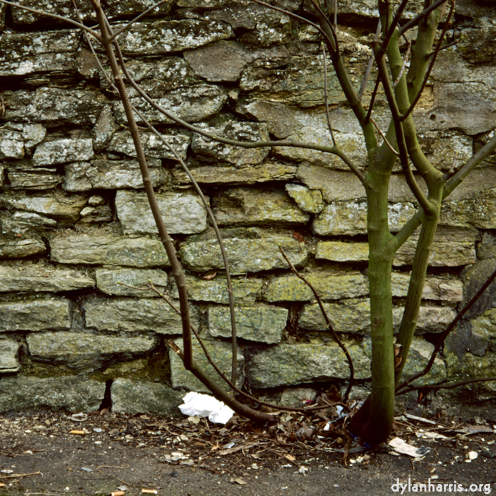 Image 'st. neots 2'.