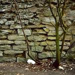 Second image from the photoset 'st. neots (i)'.