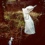 Third image from the photoset 'st. neots (i)'.