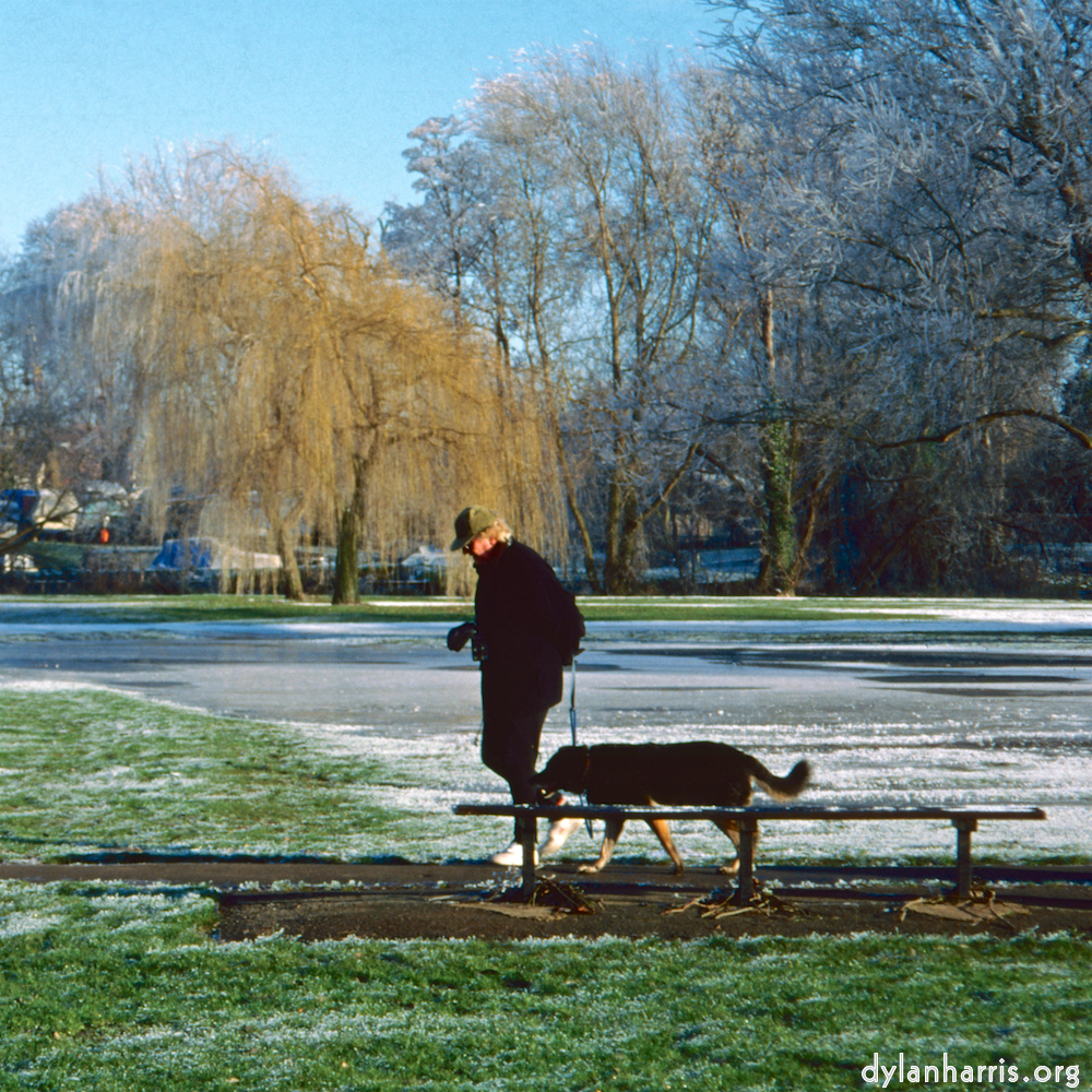 Image: Image 'st. neots park (iv) 5'.