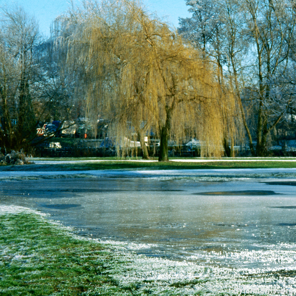 image: This is &lsquo;st. neots park (iv) 7&rsquo;.