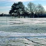 Second image from the photoset 'st. neots park (iv)'.