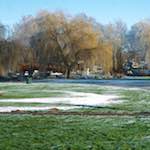 Third image from the photoset 'st. neots park (iv)'.