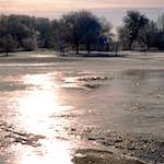 Fourth image from the photoset 'st. neots park (iv)'.