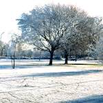 Sixth image from the photoset 'st. neots park (iv)'.