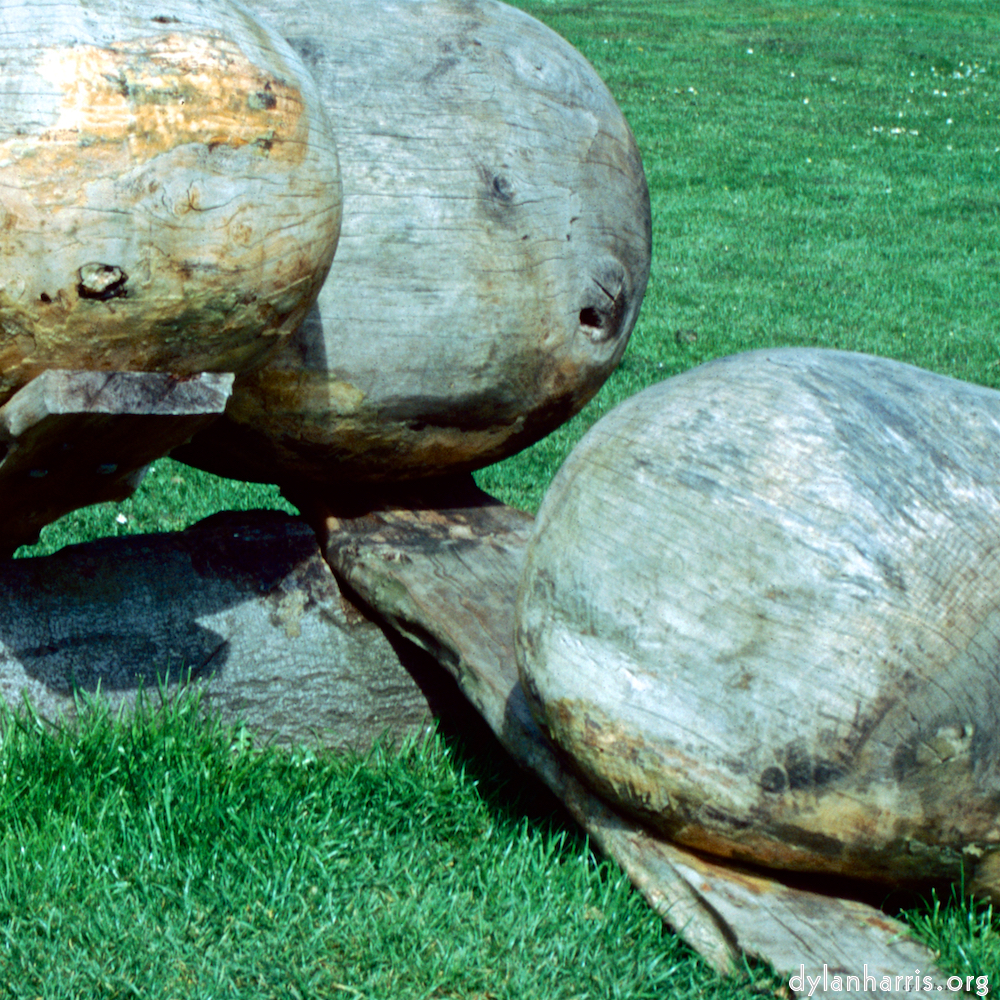 Image: Image 'yorkshire (x) 3'.