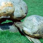 Image: Third image from the photoset 'yorkshire (x)'.