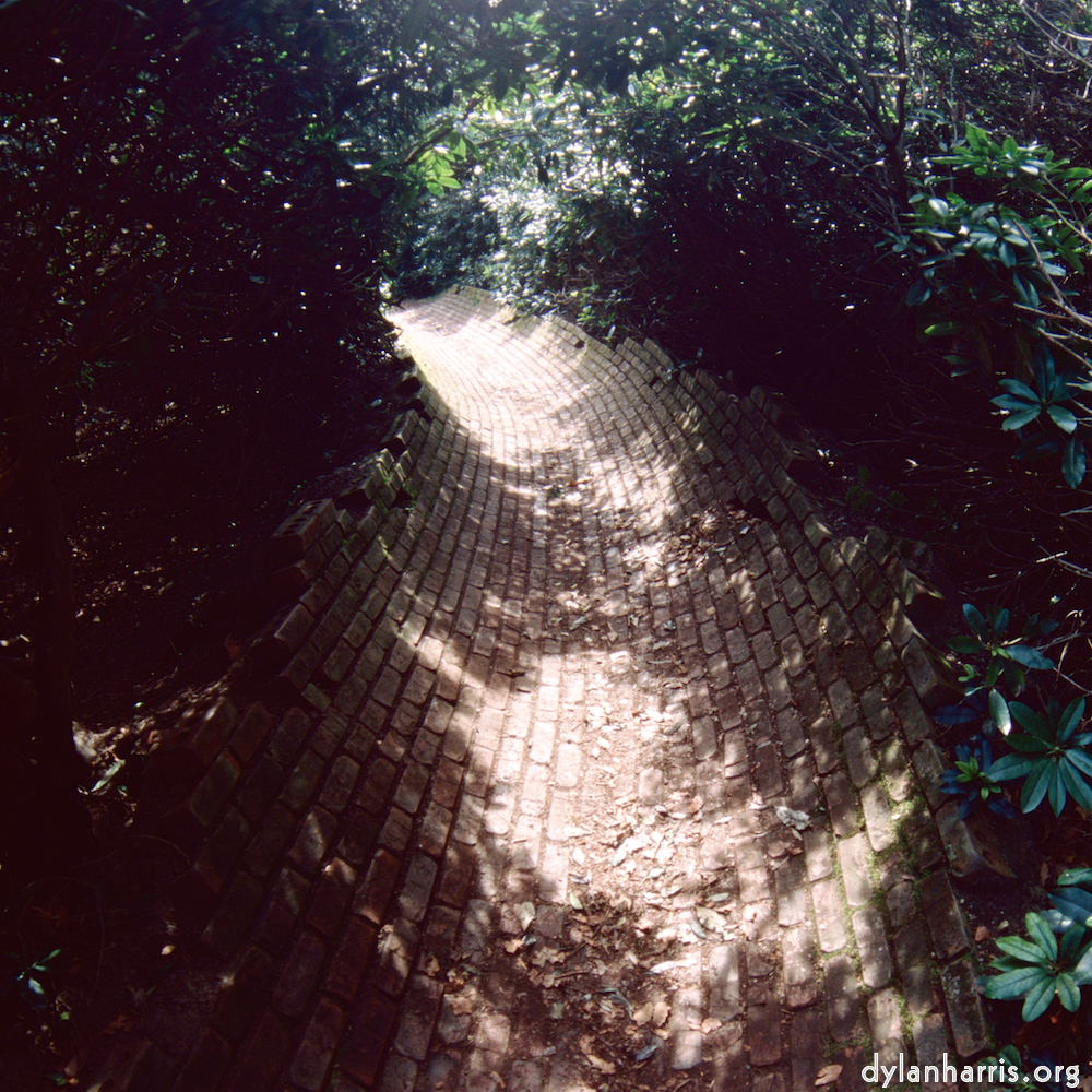 Image 'yorkshire (xi) 1'.