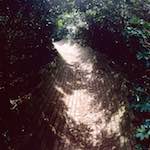 First image from the photoset 'yorkshire (xi)'.