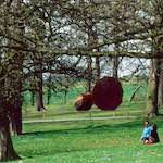 Second image from the photoset 'yorkshire (xi)'.