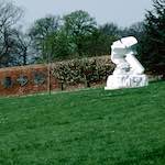 Sixth image from the photoset 'yorkshire (xi)'.