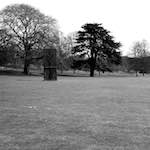 Seventh image from the photoset 'yorkshire (xi)'.