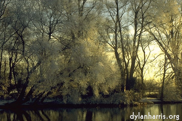 image: This is &lsquo;st. neots (ii) 5&rsquo;.