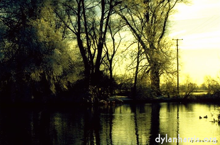 image: This is &lsquo;st. neots (ii) 6&rsquo;.