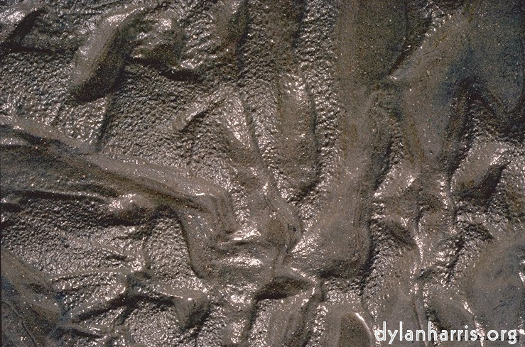 Image: Image 'texture (i) 3'.