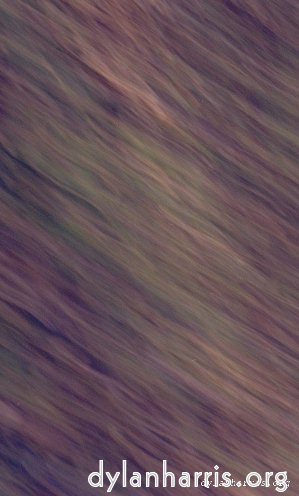 Image 'texture (ii) 3'.