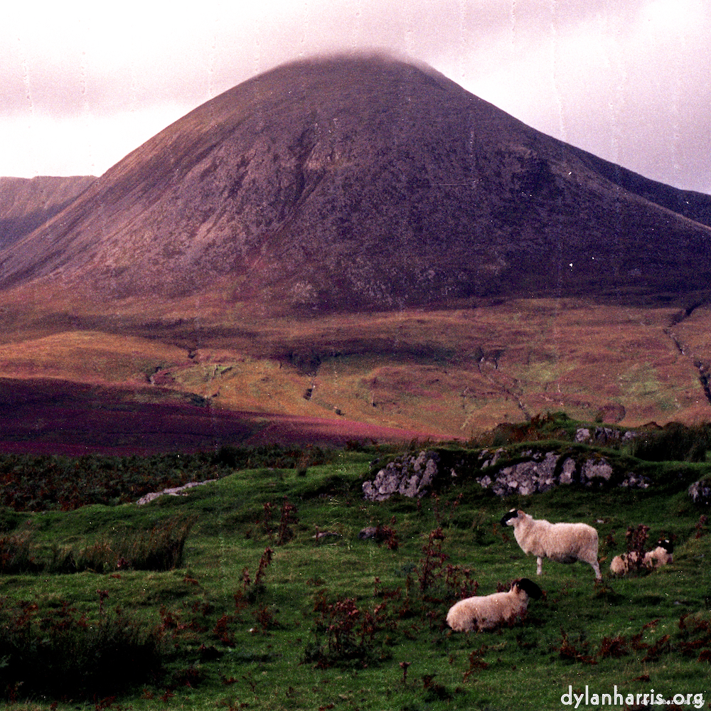 Image: Image 'highlands (x) 8'.