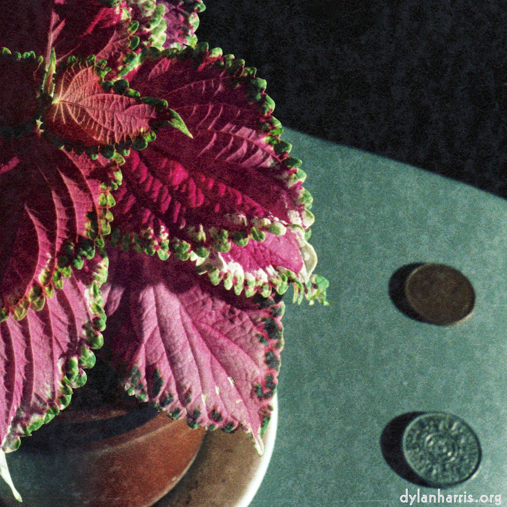 image: This is &lsquo;82 08 26 2&rsquo;.