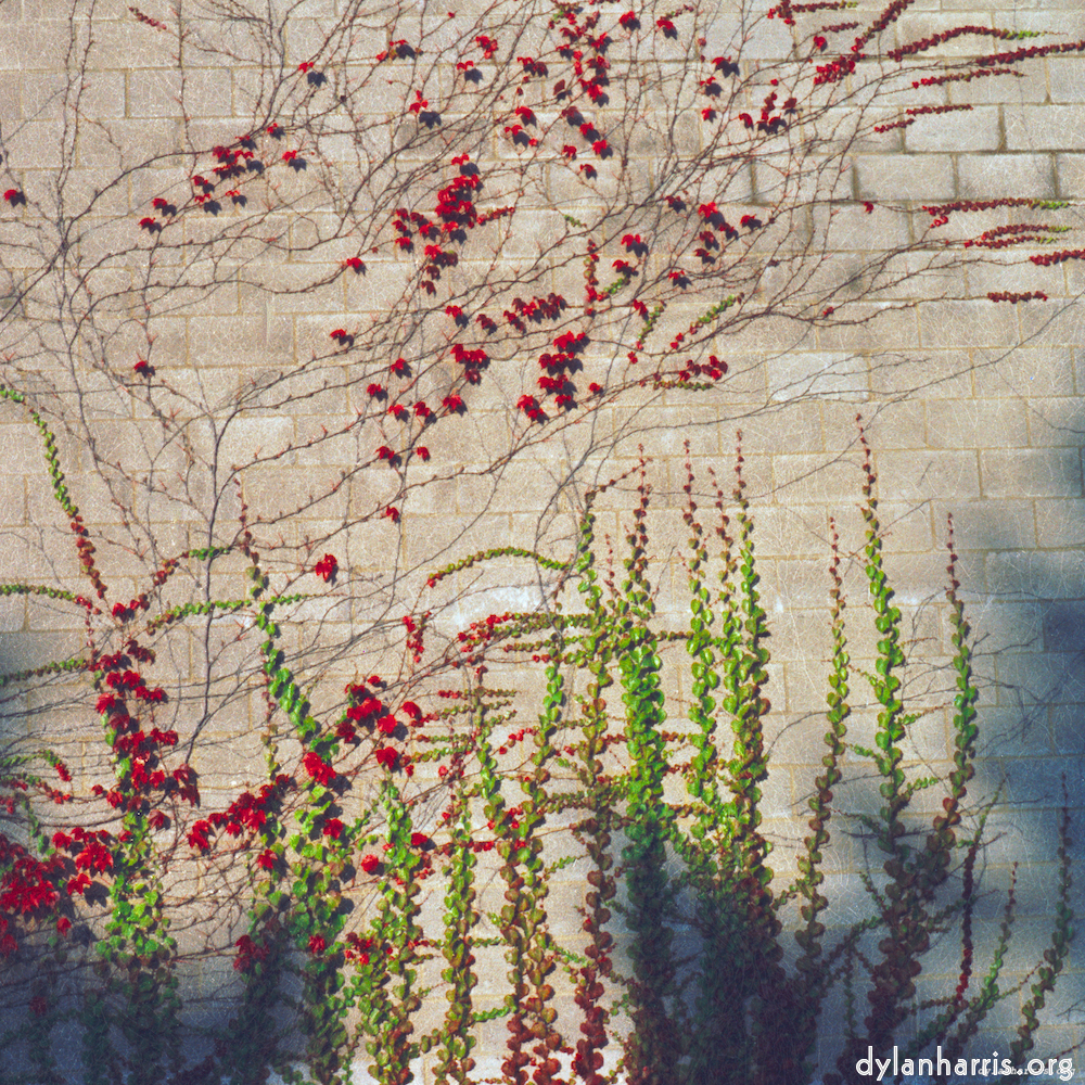 image: This is &lsquo;82 08 26 4&rsquo;.