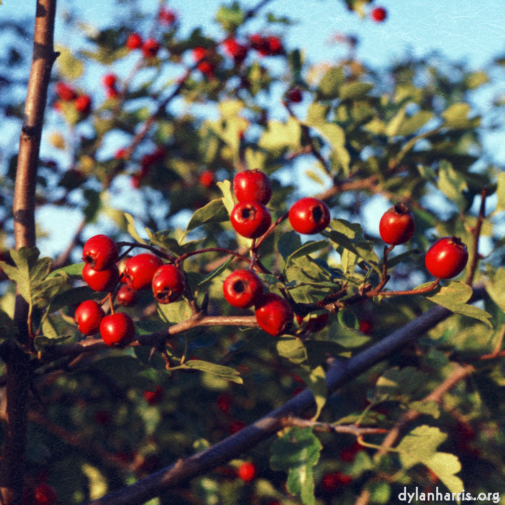 image: This is &lsquo;82 08 26 6&rsquo;.