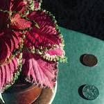 image: Image from the photoset &lsquo;82 08 26&rsquo;.