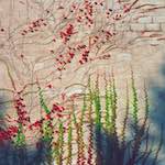 image: Image from the photoset &lsquo;82 08 26&rsquo;.