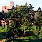 image: Image from the photoset &lsquo;82 08 26&rsquo;.