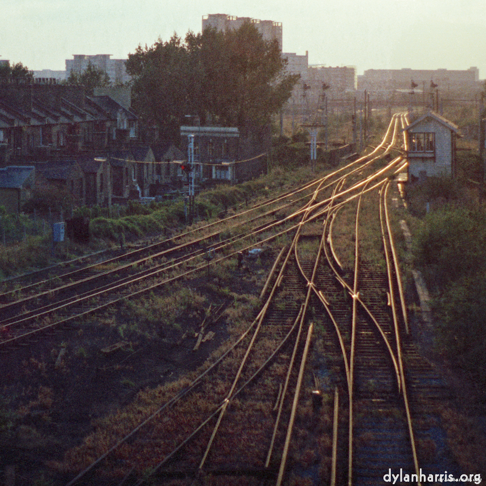 Image 'untitled (viii) 1'.