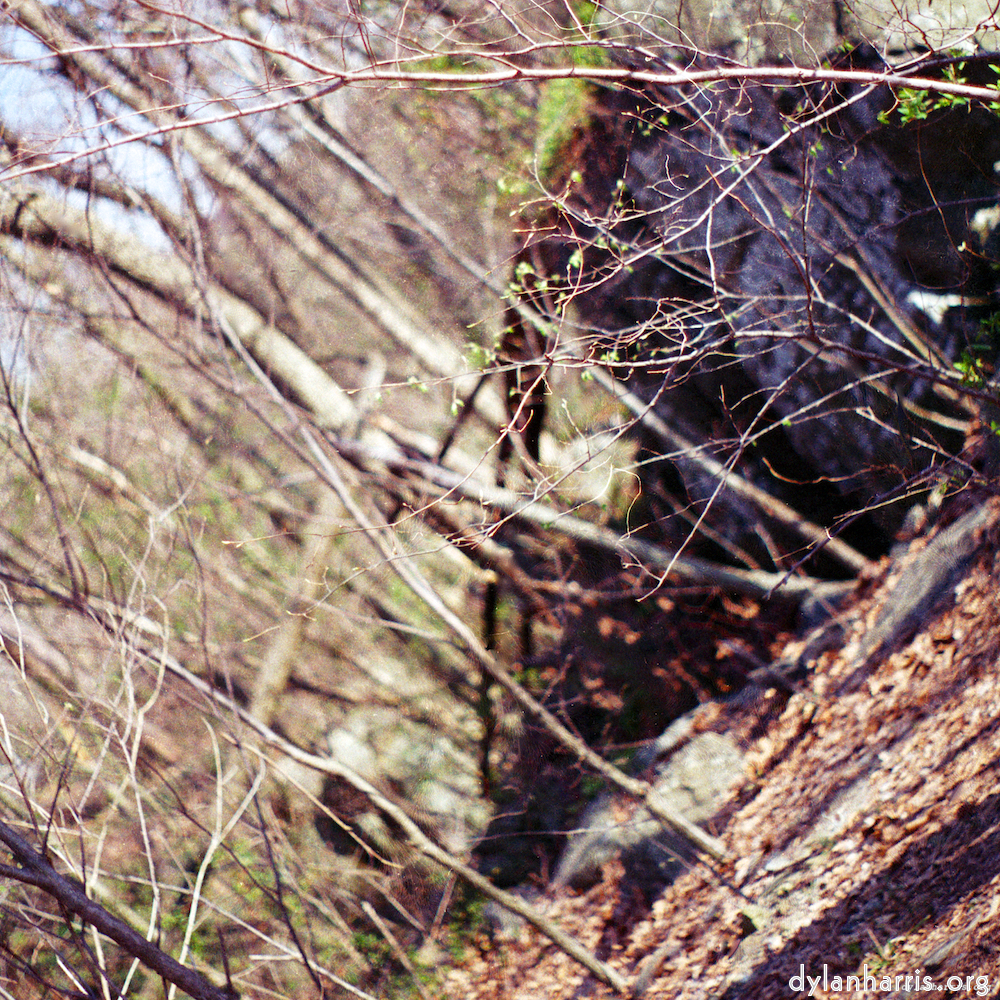 Image 'wood (vii) 1'.