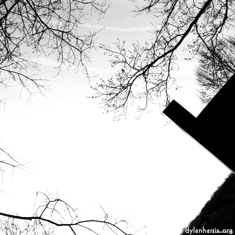 Image 'wood (vii) 3'.